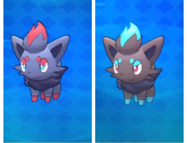 ポケモンgo ゾロアの色違い 入手方法と実装状況 攻略大百科