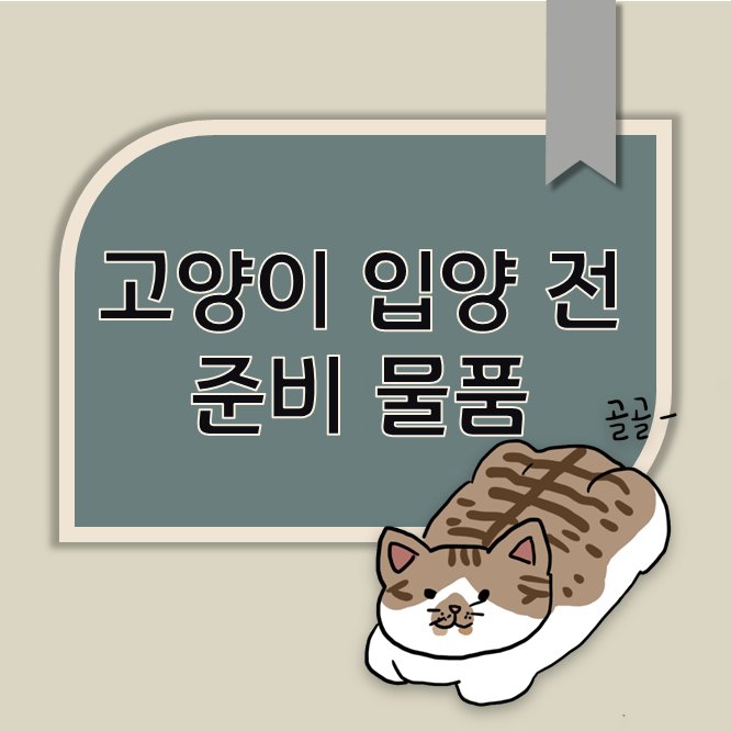 Camellia_thecat's tweet photo. [정보글] 초보 집사님들을 위한 고양이 입양 전 준비 물품 목록입니다💚 많관부
https://t.co/huCQdeRyWc https://t.co/d5qvMlwicw