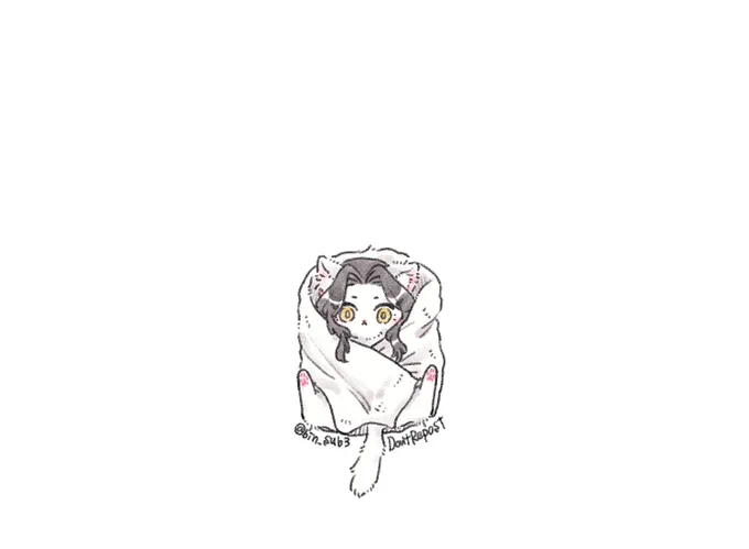 おくるみマンニョンキャット 