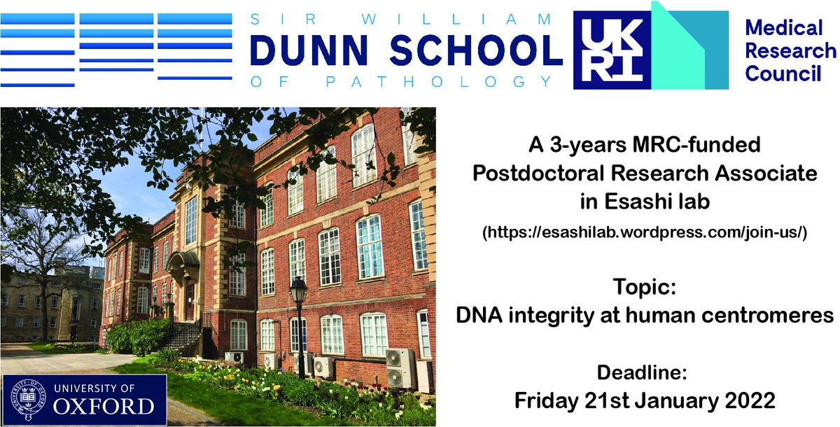 EsashiLab's tweet photo. We are hiring! An MRC-funded Postdoctoral post is available in the Esashi lab @Dunn_School. This project aims to understand the innate fragility of human centromeres. Informal inquires are welcome. Please spread the word. #centromeres, #chromosomes, #HomologousRecombination https://t.co/QqtvVmUfUJ