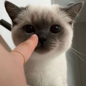 <a href="/URBOONCHU00/">🎀 บุญ​ชู 🎀</a> น้องแงวเงี้ยวๆๆ