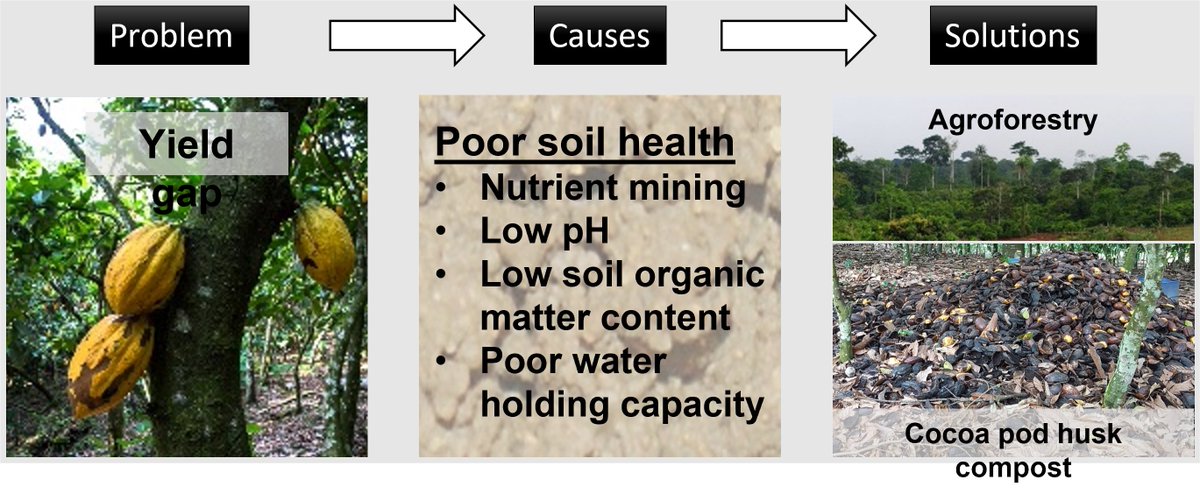 tomsizmur's tweet photo. One year after her untimely passing I'm pleased to announce that @ba_doku's PhD thesis literature review has been published #openaccess in Scientific African 'Improving soil health and closing the yield gap of cocoa production in Ghana – A review' https://t.co/pZ950vswC5 https://t.co/FVjC7bSwAk