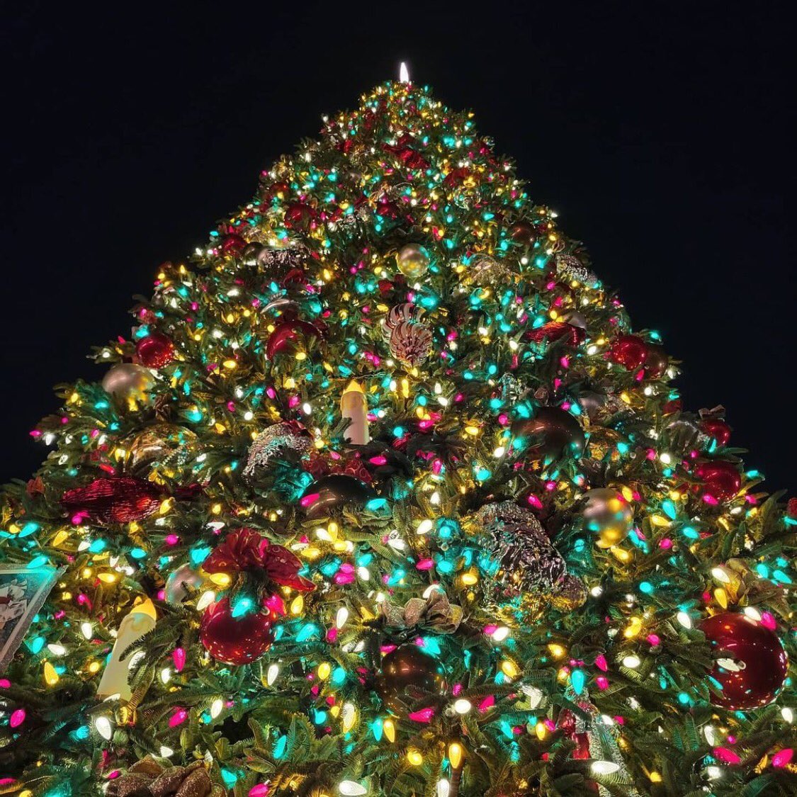 KingMadTaz's tweet photo. O Christmas tree o Christmas tree! ๐ถ๐ต๐ #ChristmasTree #SoManyLights #SoFestive #Christmas2021 #December #TisTheSeason https://t.co/bZwBL9mhPJ