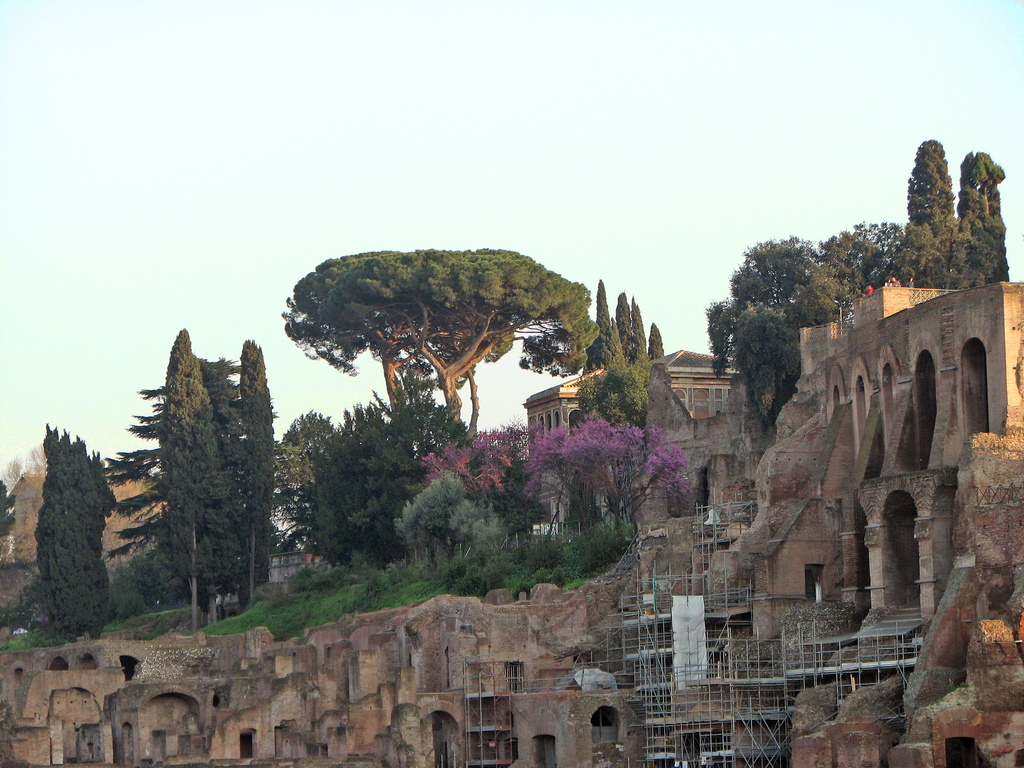 RomeTalesCom's tweet photo. Each of the #SevenHillsofRome has its own name and storied history, they are all different from each other and all have their own unique atmosphere and spirit. Can you tell us which one is your favorite? https://t.co/frx3AwtyYN https://t.co/Bus52CRNrM