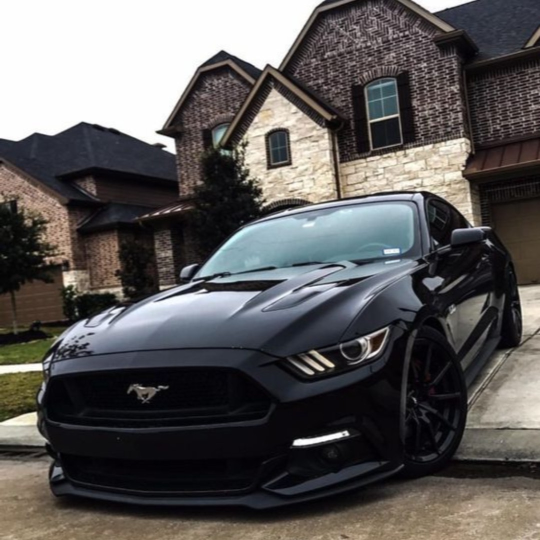 UltTrans123's tweet photo. Transporting your Vehicles?
We got you covered! Call Us Today speak to our shipping specialist. 1-888-885-9123 Option 1 #vehicleshippingneeds #transportingcars #carshow #collectorcars #americanmuscle #mustang https://t.co/2wLtWPO88Y