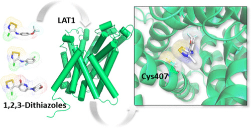 JCIM_JCTC's tweet photo. Computational Study Reveals the Role of Water Molecules in the Inhibition Mechanism of #LAT1 by 1,2,3-Dithiazoles #compchem #dithiazoles 
https://t.co/5tKt2WIlE4  
#ASAP https://t.co/ISdRTdZir1