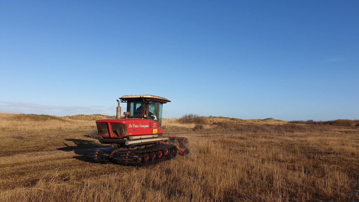 JanJelleJongsma's tweet photo. Natte #duinvallei op #Ameland wordt door De Vries Cornjum B.V. gemaaid en afgevoerd door @SpoelstrAmeland. @ItFryskeGea wil hiermee schrale duinvegetatie de ruimte geven om zich te ontwikkelen. Goed voor onder meer Parnassia, Moeraswespenorchis en Vleeskleurige orchis. https://t.co/gwSaX7be0M