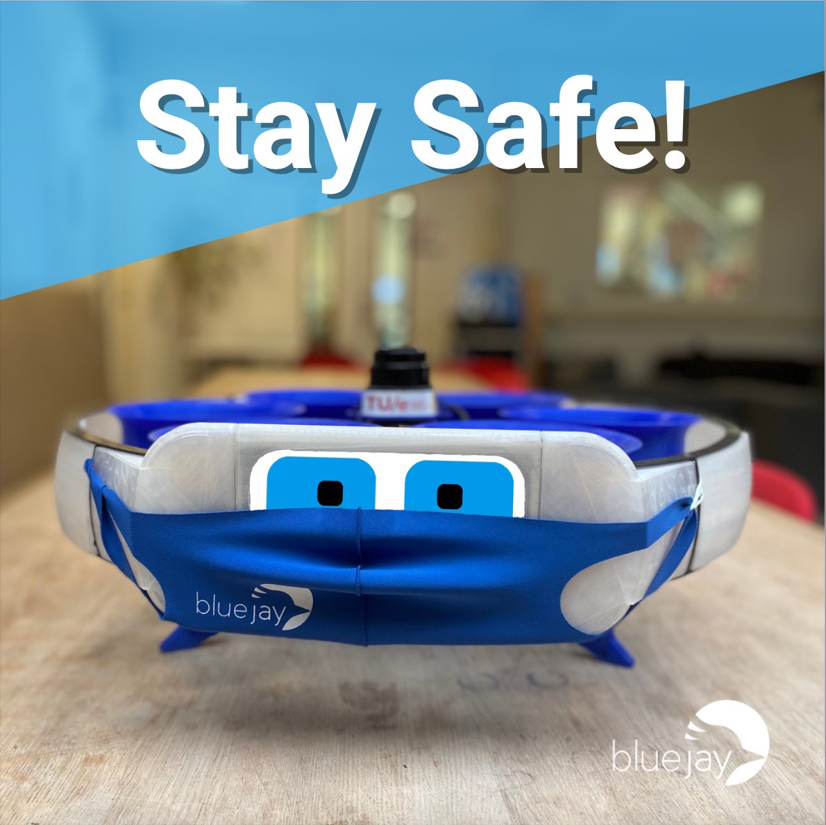 Blue Jay Eindhoven tweet media