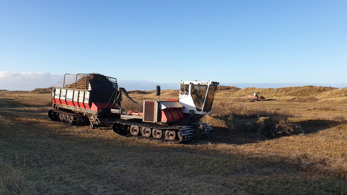 JanJelleJongsma's tweet photo. Natte #duinvallei op #Ameland wordt door De Vries Cornjum B.V. gemaaid en afgevoerd door @SpoelstrAmeland. @ItFryskeGea wil hiermee schrale duinvegetatie de ruimte geven om zich te ontwikkelen. Goed voor onder meer Parnassia, Moeraswespenorchis en Vleeskleurige orchis. https://t.co/gwSaX7be0M