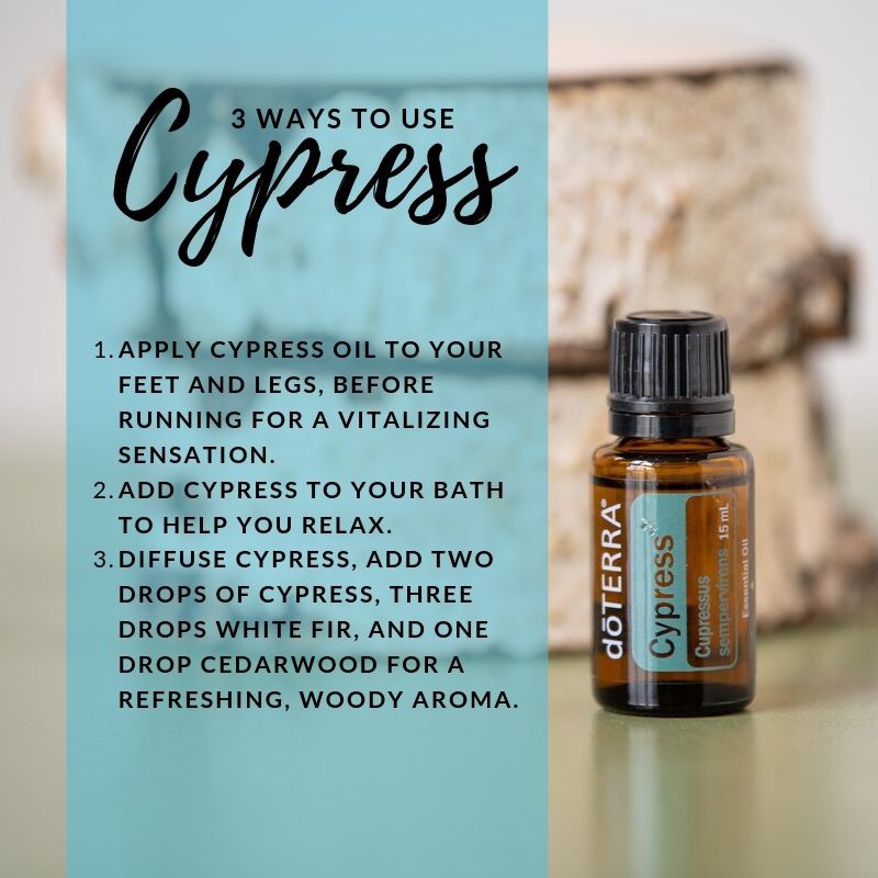 SummersWeIIness's tweet photo. We use CYPRESS every day in our home. In addition to the uses in the image, DID YOU KNOW that cypress essential oil supports healthy blood circulation (apply that knowledge as best you can)
https://t.co/jW6k6F1HWg https://t.co/LyIGk0FmiJ