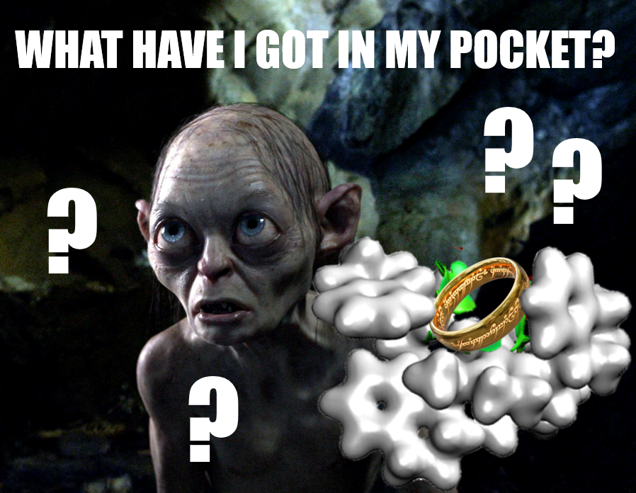 Unveiled! Mode of enantioinduction &amp; the key catalytic pocket (and what's in it) of heteroarene hydrogenation. It took us 5 years and scientists from several research institutes to answer this question (tricksy hobbit).
Just published in @Chemical_Science!
kurzelinks.de/zi5x