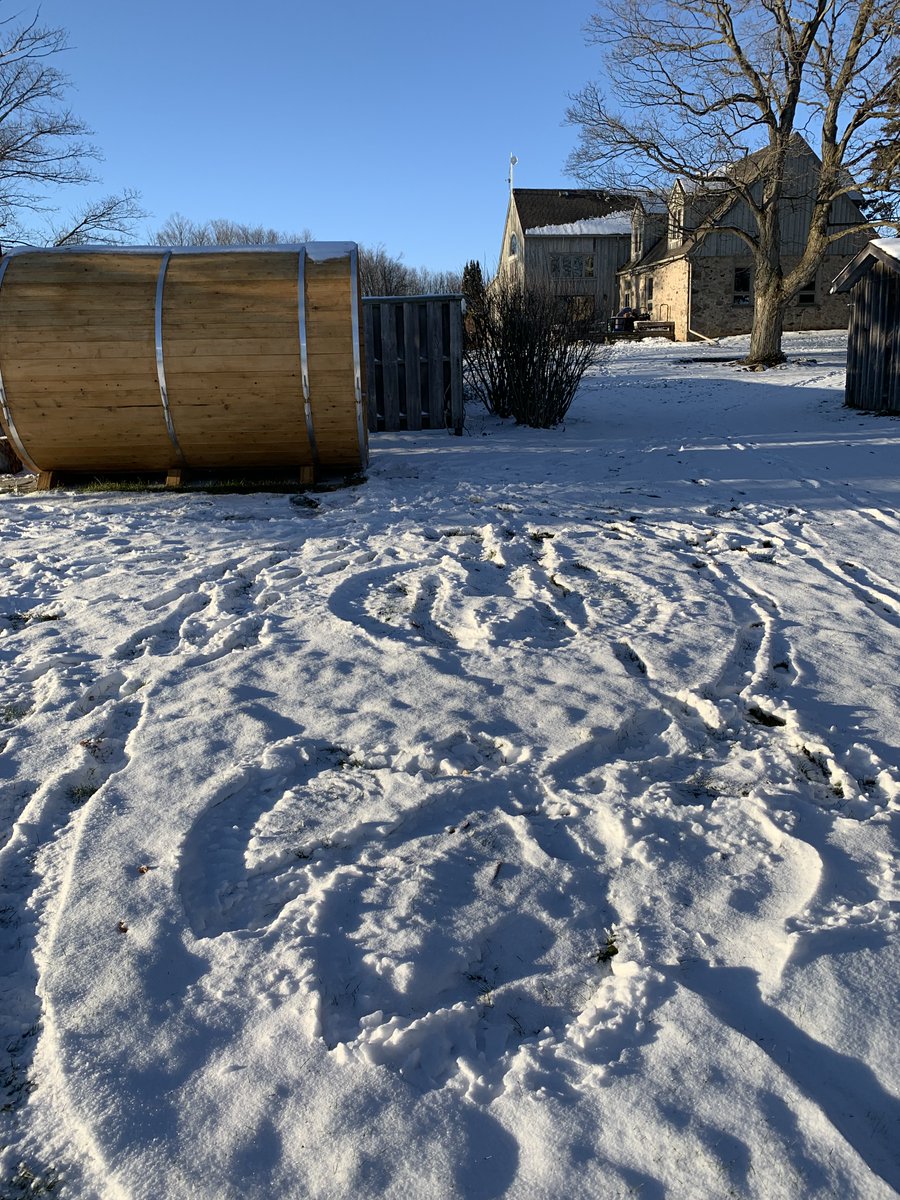 Sauna snow angels help a bit with the Omicron blues