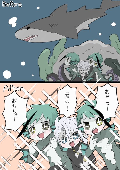 鮫的ビフォーアフター 