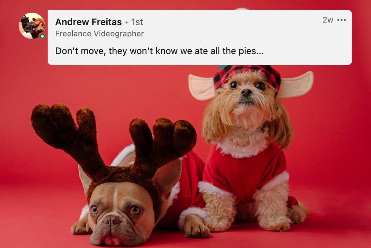 We have a winner 🏆

Congratulations to Andrew for your winning caption, attracting a very impressive 59 likes!

We hope this Christmas caption competition helped get you in the Christmas spirit. 

#Christmas #CaptionContest