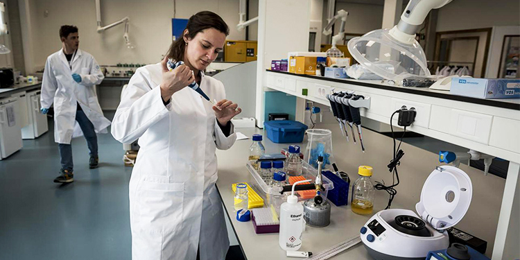 Wie gingen er – ondanks corona – als een raket afgelopen jaar? NoordZ vroeg het vier mensen die er iets van kunnen weten en zet de snelst groeiende bedrijven op een rijtje, zonder strikte kwalificatieregels en zonder rangorde. noordz.nl/2021/12/20/sne…