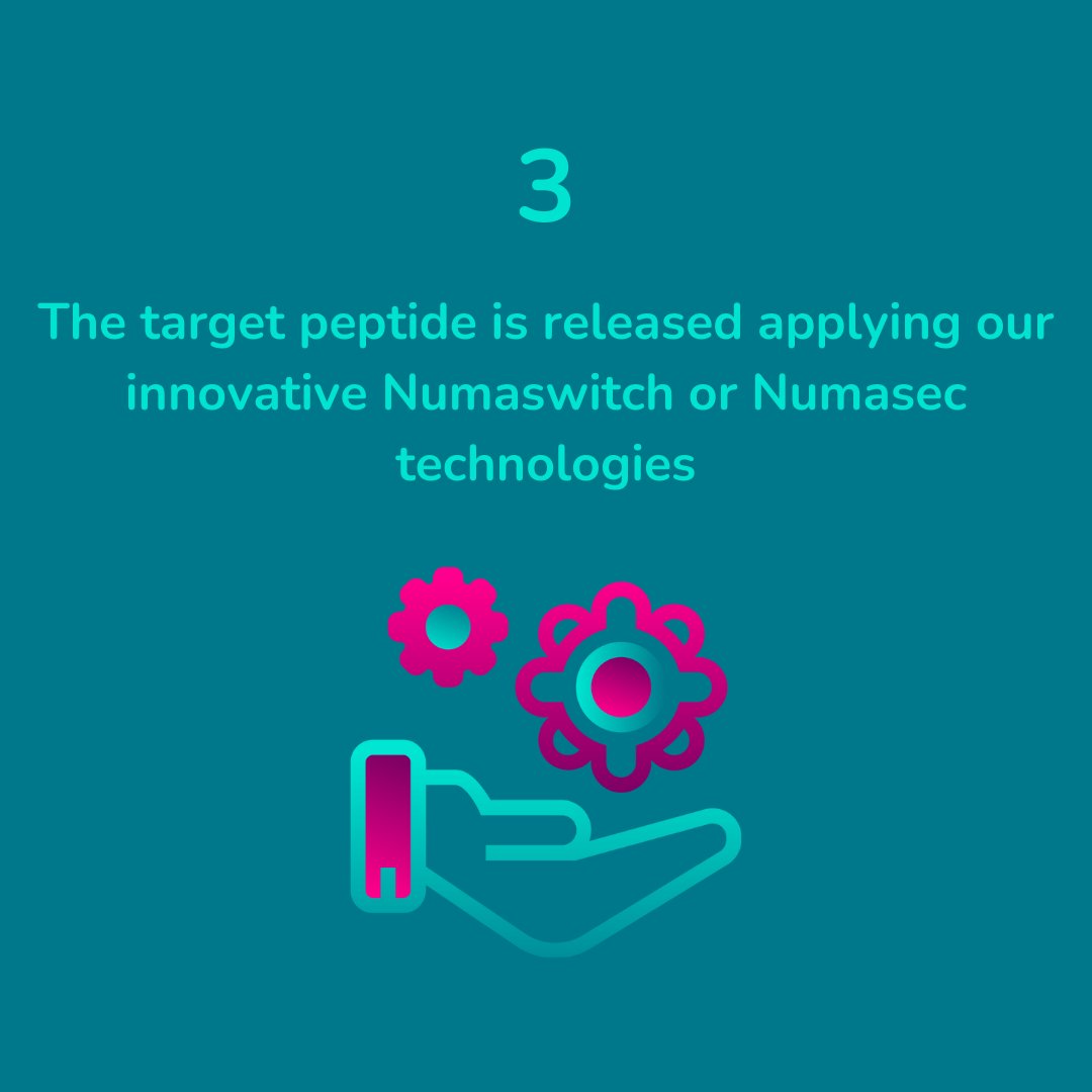 Numaferm I Biomade Innovation tweet media