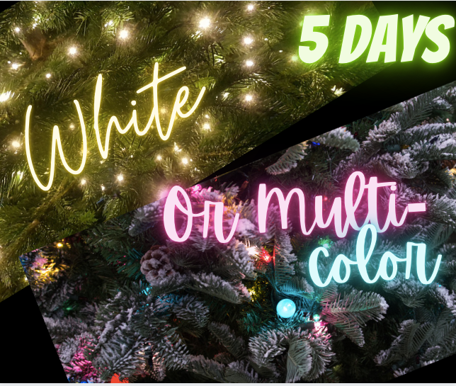 stella_brie's tweet photo. 12 Days of Holidays! We're getting closer to giving away ARCs. 

The great debate....multi-color lights or white lights? White lights for me because I like a clean and modern look. How about you? 

#holiday #authorsofinstagram #stellabrie #therowan https://t.co/vbufXd7bpK
