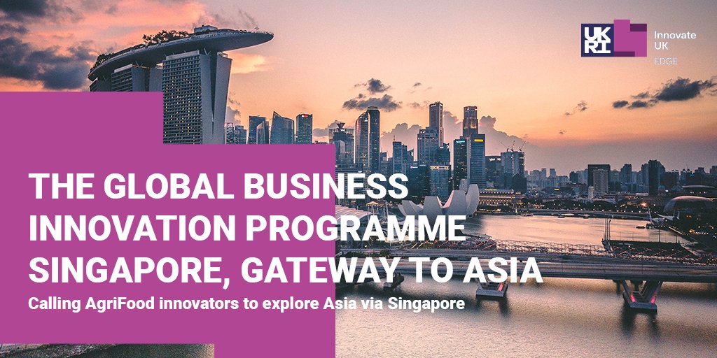 CHAPAgriTech's tweet photo. Are you ready to scale your business globally?

@innovateuk are looking for innovative UK businesses to collaborate within the Singaporean AgriFood market to encourage innovation

Deadline is 9 January‼️

▶️APPLY https://t.co/snIarwrnxU

#agrifood #agribusiness #CHAPInternational https://t.co/Y6cU4WIZRX