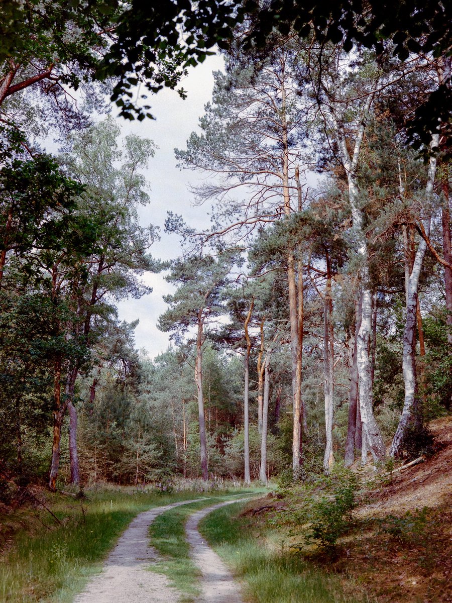 This is going to feel like a very random tweet for some. Others will know exactly what I mean when I say: “I can’t wait to start scanning my backlog of film”.

Easing back into my photography game. 2022 here I come. 

#FilmPhotography
#ShootFilmBeNice