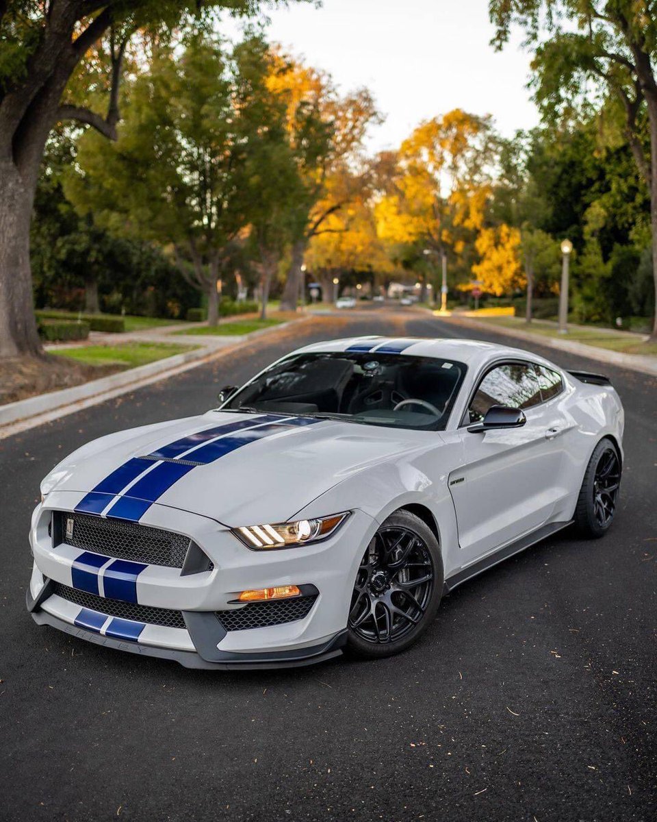 “ Mustang Monday Masterpiece “