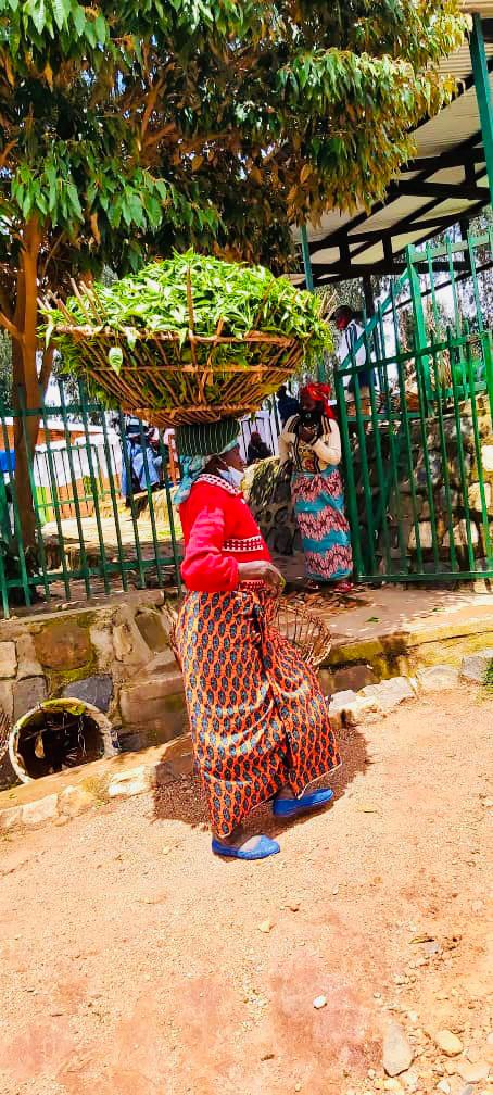 Vanguard_Econ's tweet photo. Last week was amazingly productive. We had different teams on the field collecting data in the Northern and Southern provinces. We gained so much insight from our respondents and we'll be sharing it with you in the upcoming blog posts. Looking forward to a great week! https://t.co/Z6wBODPWuu