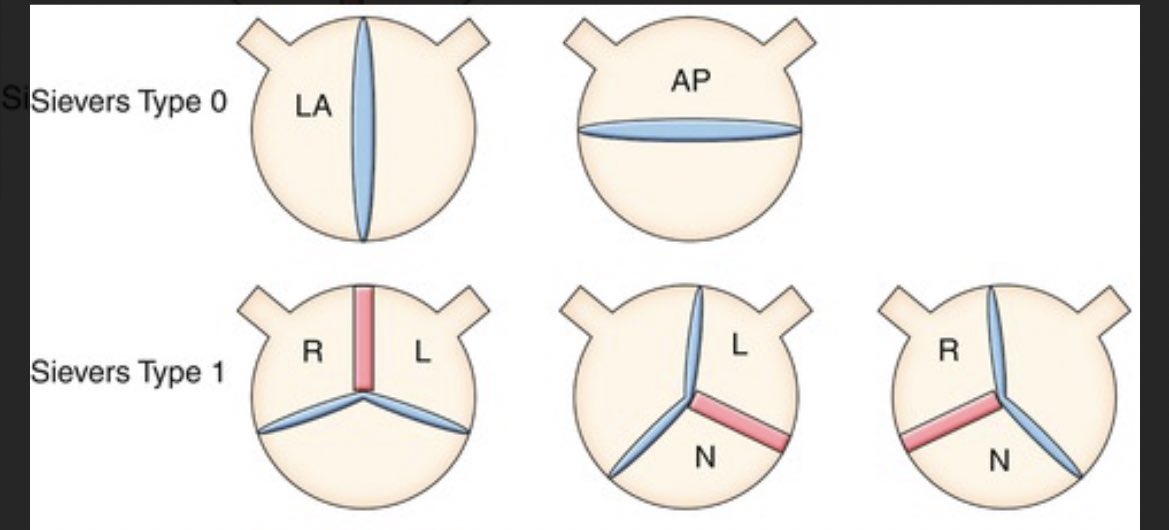 Yuki Ikeno 大動脈外科医 on Twitter 