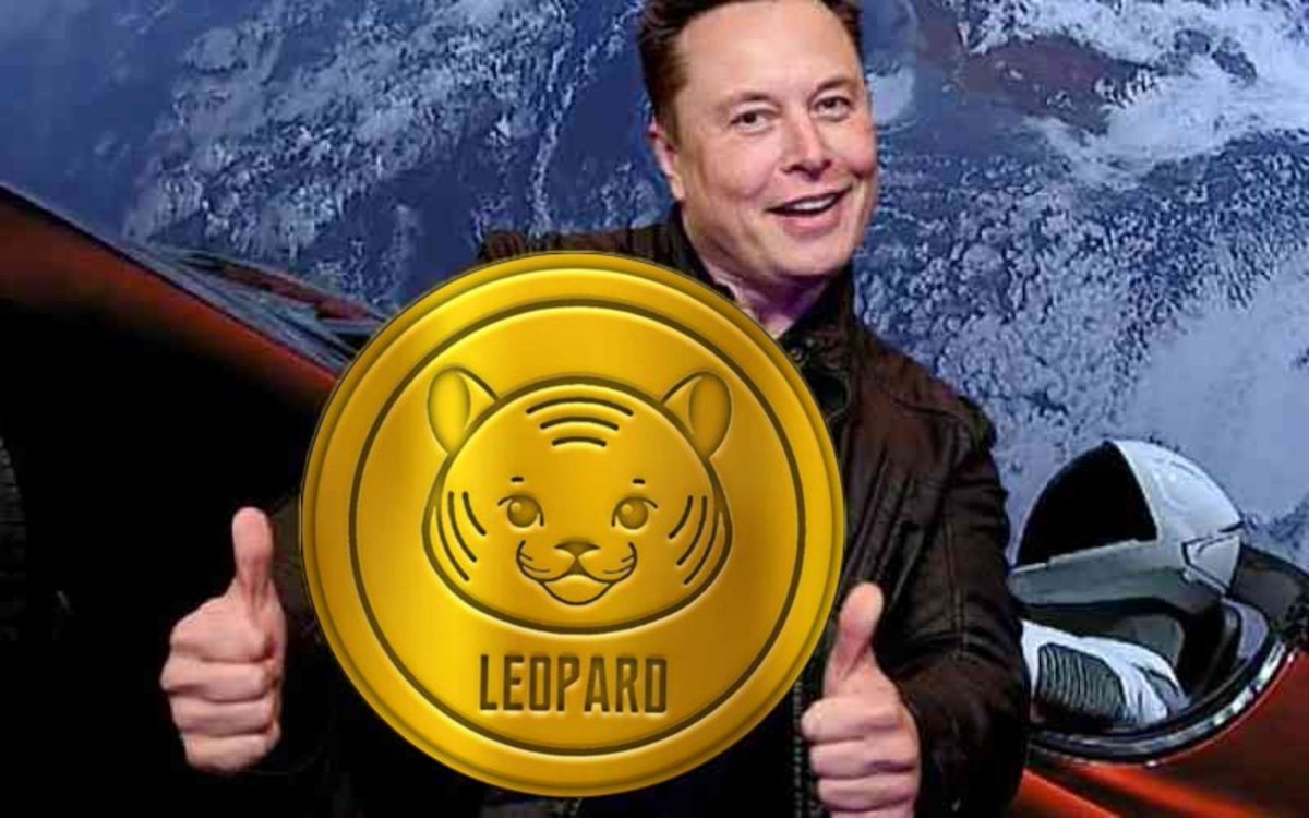 CryptosExC's tweet photo. @Leopardbsc @siapacikk #Leopard #Leopardwallet #Leopardtoken
#Leopardcoin #X100 https://t.co/Bgj07sDGm4