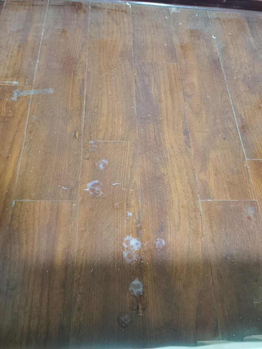 推特害我[泪][泪][泪][泪]