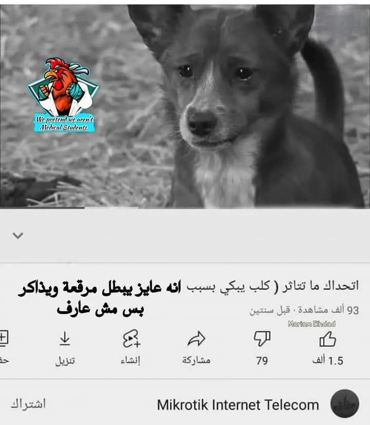 EY🅰️D (@eyad__alam) on Twitter photo 