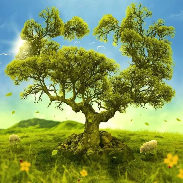 MD Faruk (@mdfaruk78119697) on Twitter photo 