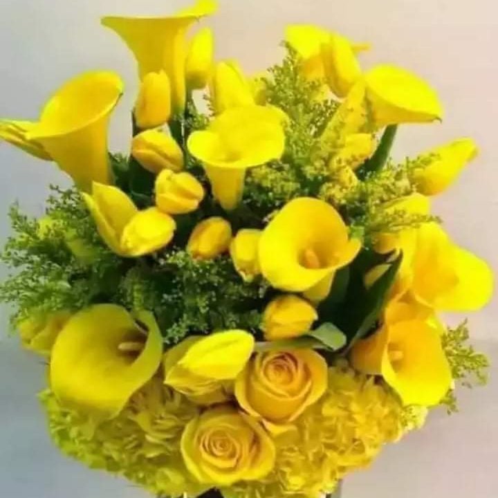 MD Faruk (@mdfaruk78119697) on Twitter photo 