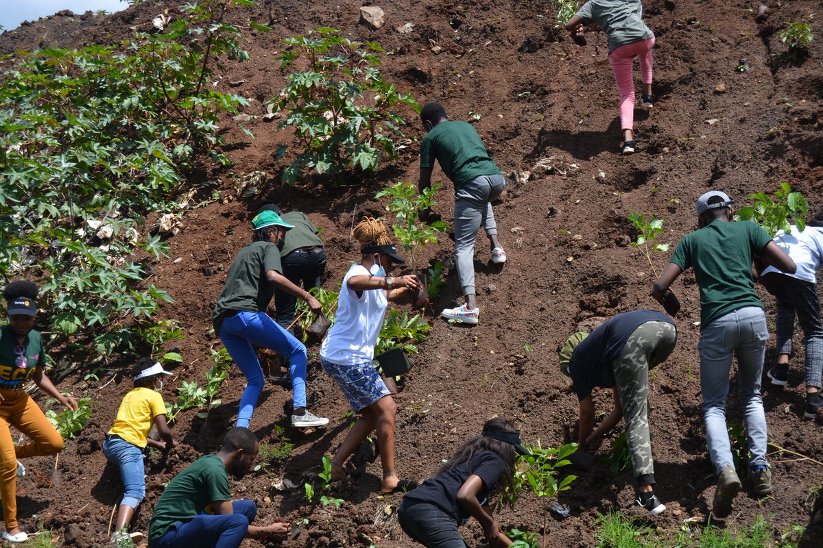 RotaractEco's tweet photo. Plans to protect air and water, wilderness and wildlife are in fact plans to protect man- Stewart Udall. Trees are planet earth's lungs. #GreeningChristmas by planting trees. Act now safe the future.@RotaryEco @UNEP_Africa @WanambwaL @KAM_Kenya @CorrectionalKE @RKirundi https://t.co/CvxRIOx3D0