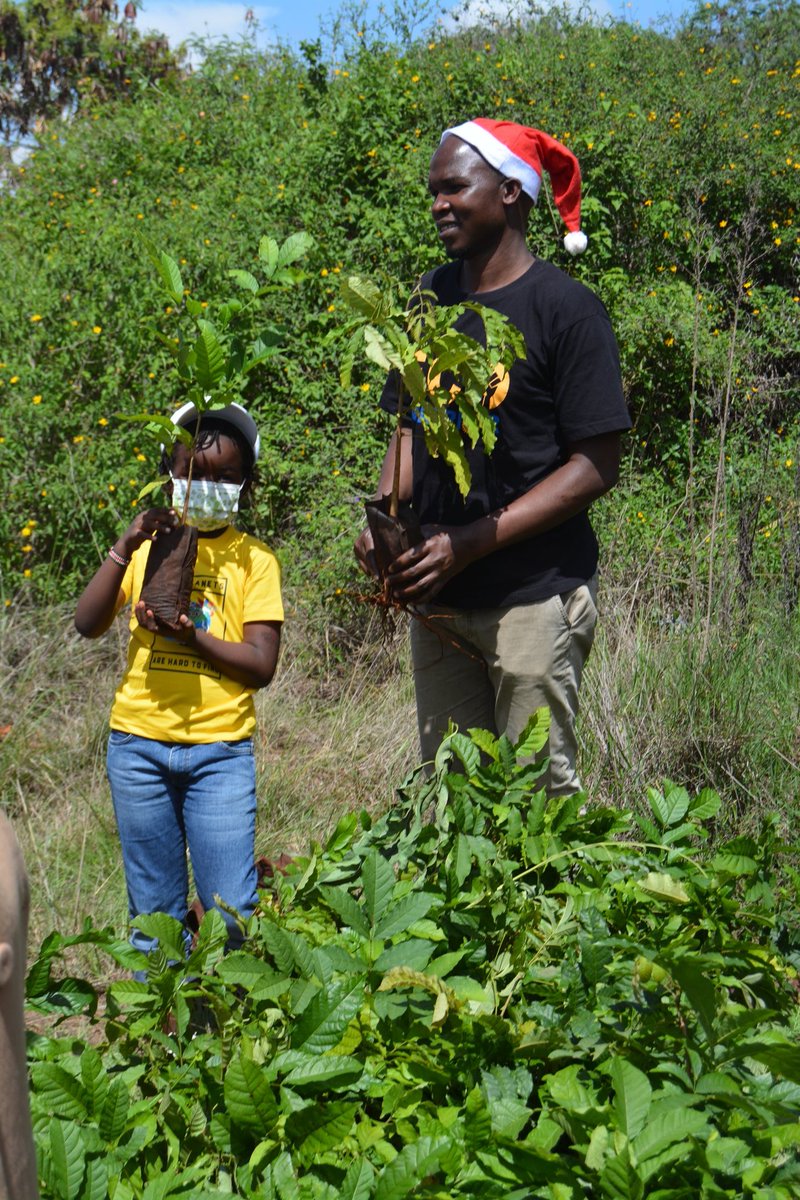 RotaractEco's tweet photo. Plans to protect air and water, wilderness and wildlife are in fact plans to protect man- Stewart Udall. Trees are planet earth's lungs. #GreeningChristmas by planting trees. Act now safe the future.@RotaryEco @UNEP_Africa @WanambwaL @KAM_Kenya @CorrectionalKE @RKirundi https://t.co/CvxRIOx3D0