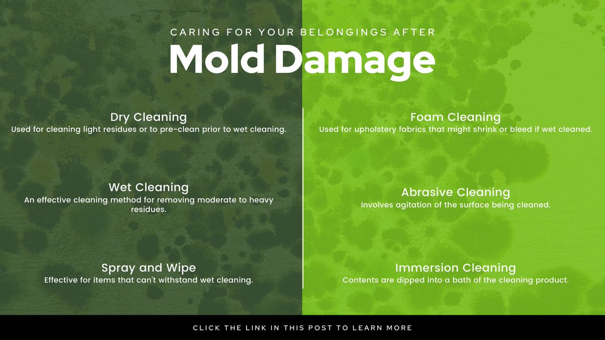 bddy.me/3efSbTf 
#servpro #cleaning #restoration #centralillinois #molddamage #contentscleaning