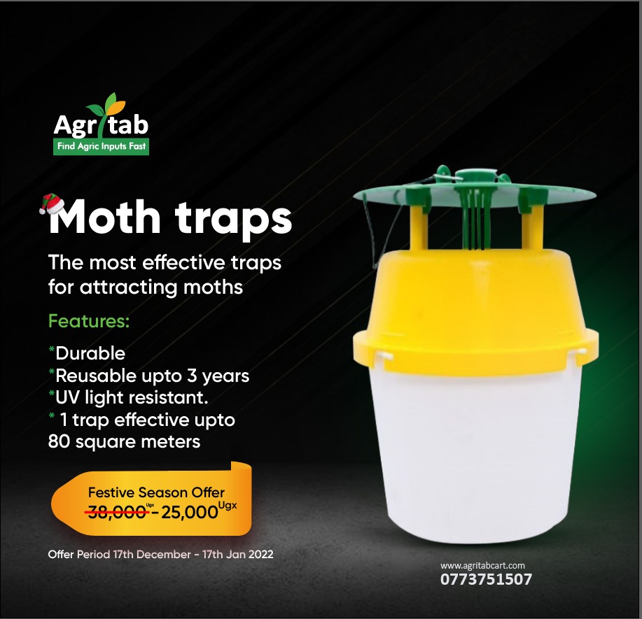 agritabcart's tweet photo. Moth traps are the most effective traps for attracting moths. These traps are durable, reusable for up to 3 years, and UV light-resistant.
Find these traps at our shop Nakivubo road, Juba Plaza Ground floor, Room B025.
#agritabcart #mothtraps https://t.co/HEpeOvNqVR