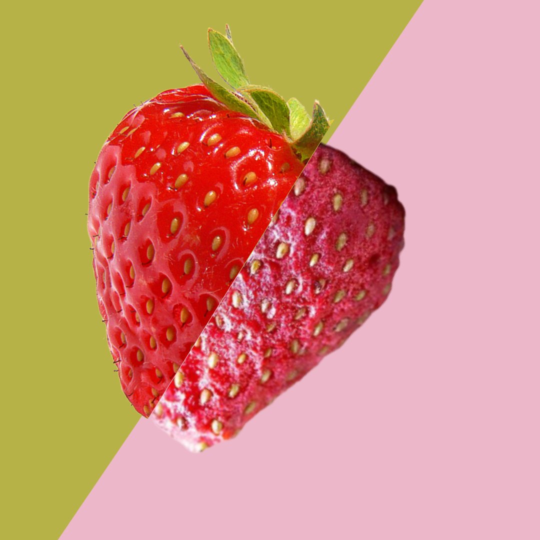 hausfreezedry's tweet photo. Her mevsim taze çilek yemek gibi bir şey bu 🍓
#strawberry #freezedriedstrawberry #cilekkurusu #kitircilek https://t.co/cnm00HVfWO