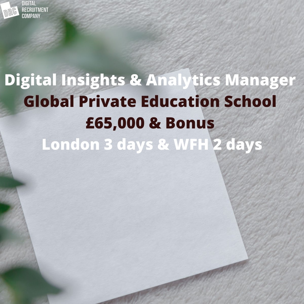 DigiRecComp's tweet image. New role for a #digitalinsights and #analyticsmanager, based in #London and #WFH for a private education school.

Salary; £65,000&amp;amp;Bonus.

If interested contact Toby; toby@digitalrecruitmentcompany.com
#digitaljobs #analytics #analyticsjobs #analystjobs #analyticsinsight