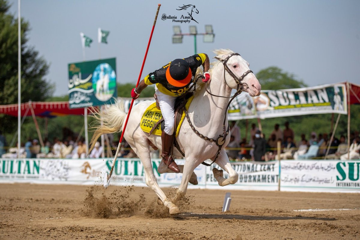 سلطان انٹرنیشنل نیزہ بازی ٹورنامنٹ میں سوار کلہ اٹھاتے ہوئے
#SultanNezaBaziTournament