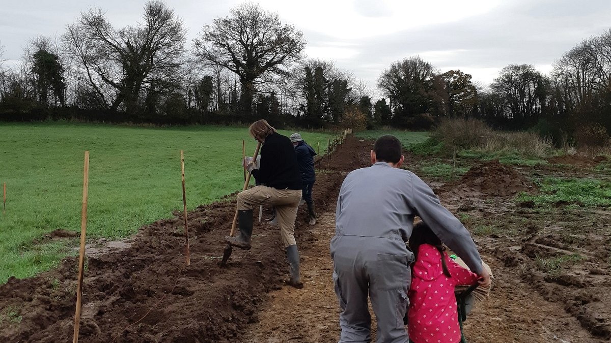 PnrMCB's tweet photo. [Défi familles à biodiversité positive] Dans le cadre de la 6e rencontre du Défi, un chantier plantation a eu lieu le 11 décembre sur la commune d'Hémévez : + d'une quinzaine de personnes, 230 plants, 136 mètres de haie. Une seconde édition du Défi prévue en 2022 avec @cdc_cocm https://t.co/DoUnxPZy7Y