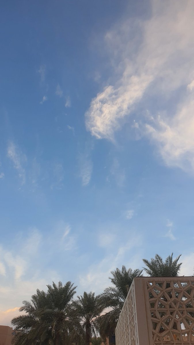 kamstreh's tweet photo. مساء الخير والجو الجميل 🌿 https://t.co/PNmHBEz92Q