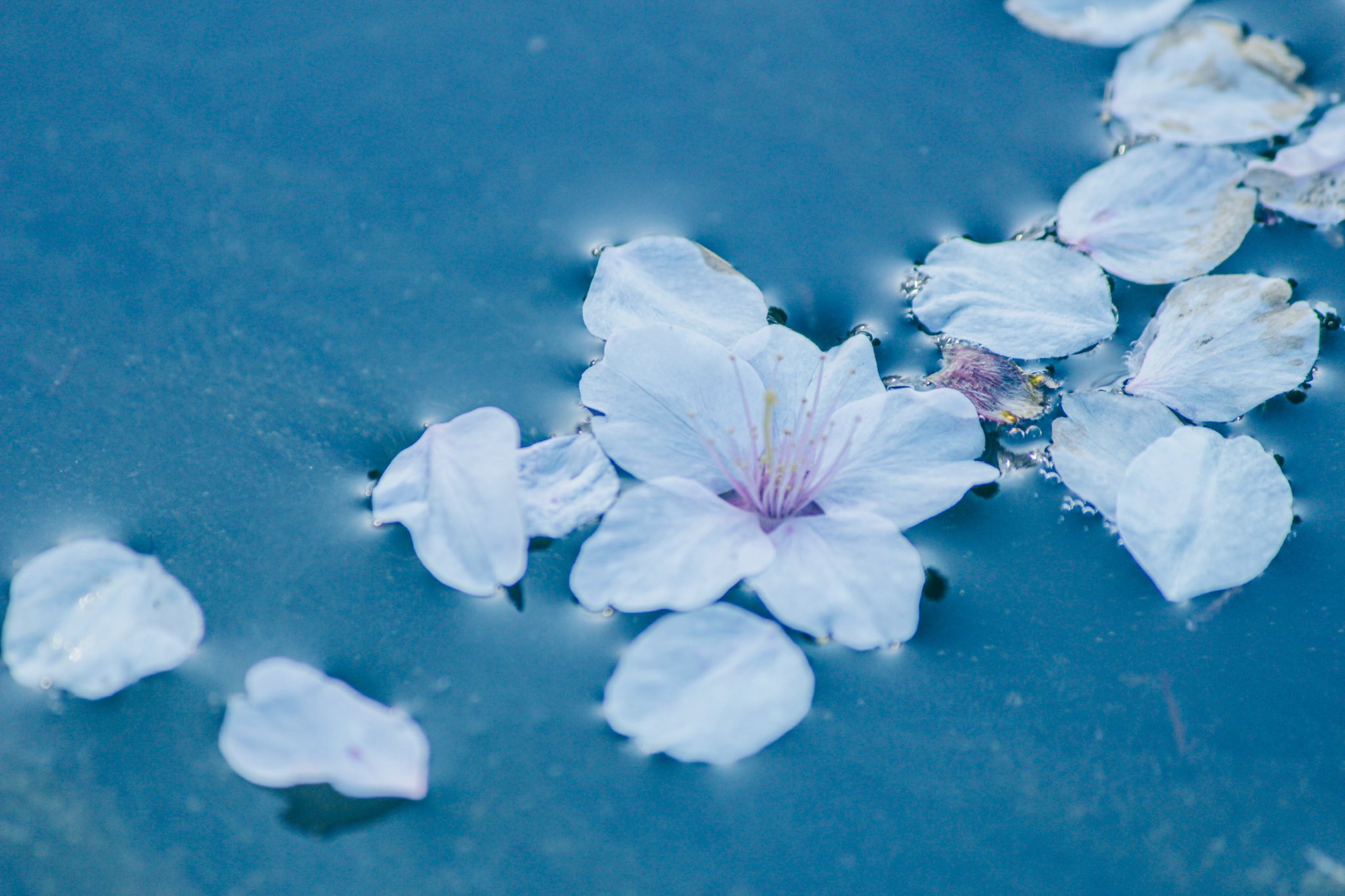 宵月 絃 ʏᴏɪᴅᴜᴋɪ ɪᴛᴏ 孤独を感じてしまうような夜の隣で 優しい夢に抱かれていますように T Co M6ocfiltvh Twitter