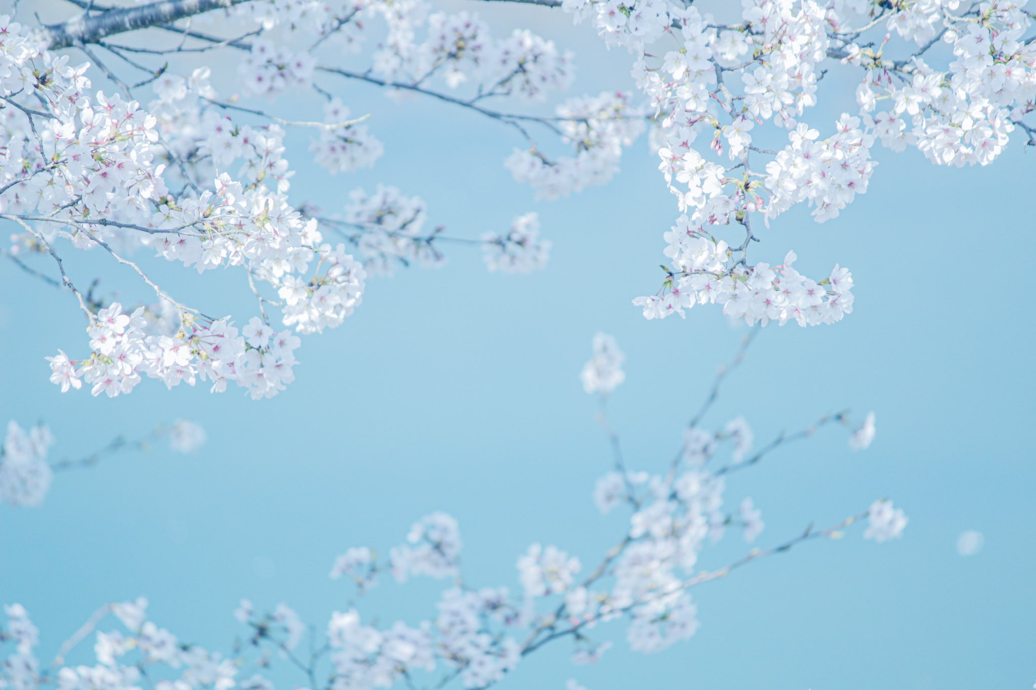 宵月 絃 ʏᴏɪᴅᴜᴋɪ ɪᴛᴏ 孤独を感じてしまうような夜の隣で 優しい夢に抱かれていますように T Co M6ocfiltvh Twitter