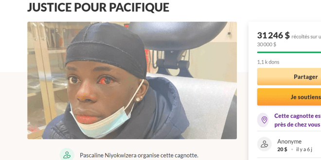 HorizonQueb's tweet photo. Le mensonge médiatique étant devenu évident, les antiracistes naïfs devraient demander à être remboursés, à l'instar du député de QS Sol Zanetti.

Arrestation musclée à Québec : les racailles venaient d’agresser les policiers

https://t.co/8lughgaof5 https://t.co/ohdpFCXd15