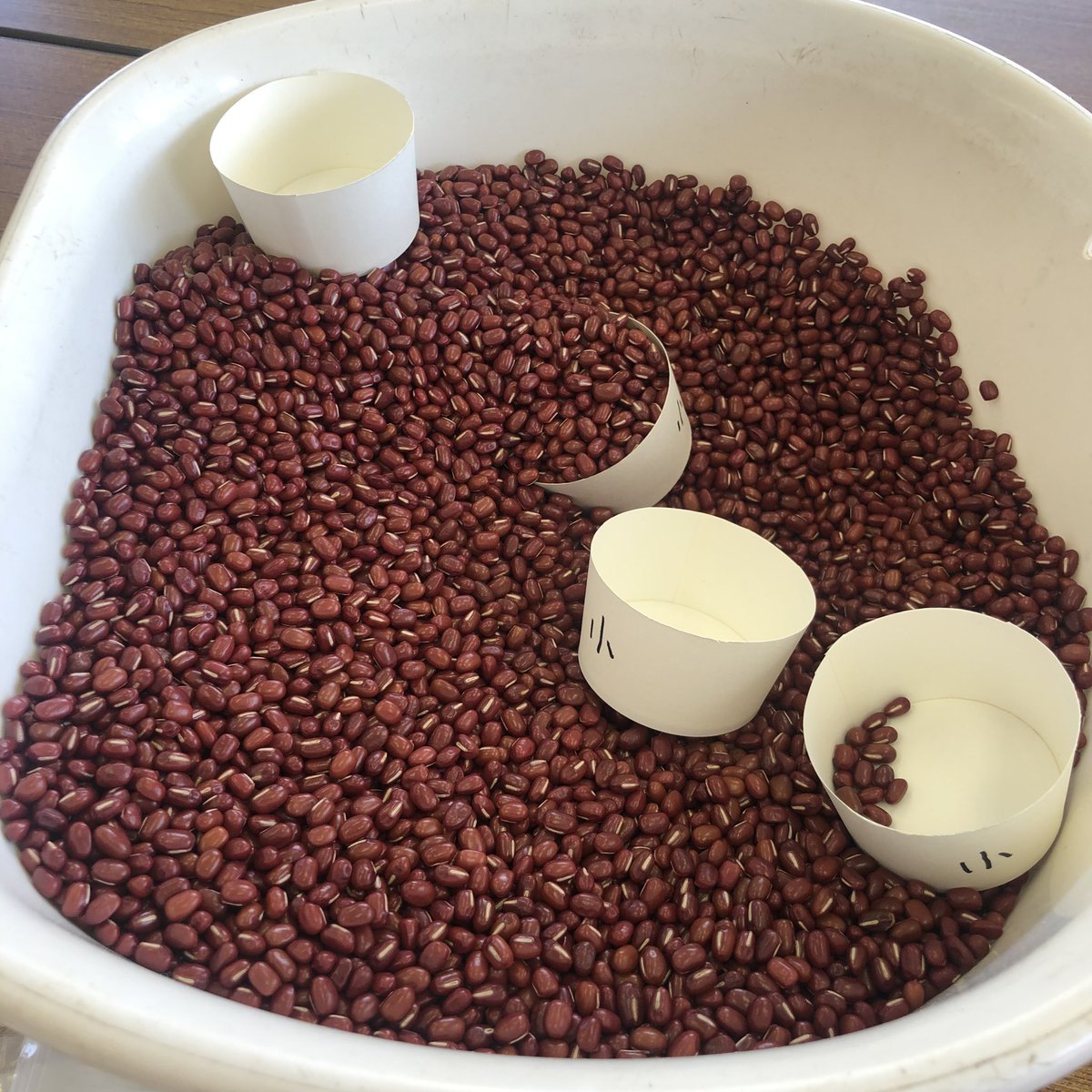 nan0chan's tweet photo. 今日の午前中は豆まかナイトの豆詰めお手伝い。農業青年部の兄さん達と一緒に。
ずっと農業の話してる兄さん３人の話が面白くてラジオ聴きながら作業してるみたいで楽しかったな。
畑作も酪農も全ての農業の話出来るのがすごい。#最高の作業現場 https://t.co/UnqrMQFXUb