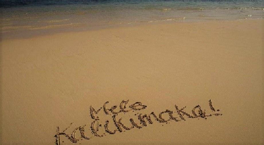 WetTribe tweet picture