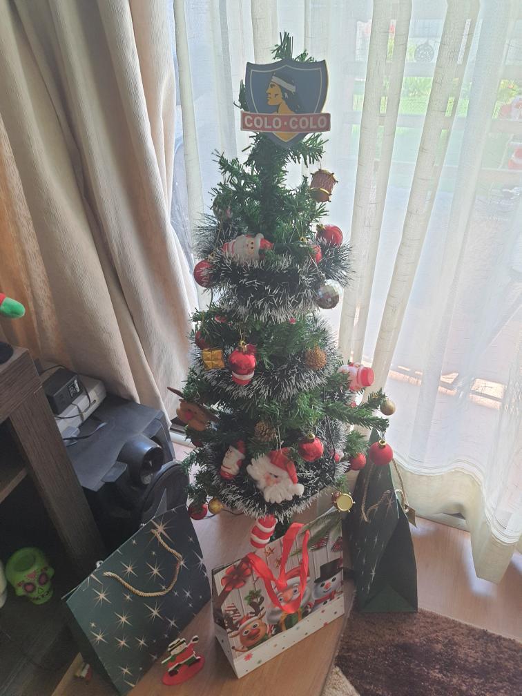 GolTriste's tweet photo. Falta poquito para la navidad, ¿ya armaron el arbolito?
No pienses más el regalo o el amigo secreto, regala literatura colocolina: #ProyectoCatarsis, #ElDeportistaMartir, #AunqueNosDigan, #91ElLibro.
Descuento para socios y socias, despacho a domicilio y envíos fuera de Santiago. https://t.co/1Bh1f3Vd51