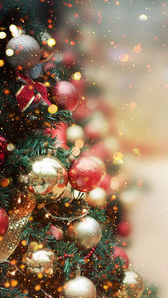 AZL_CM's tweet photo. #Chrismas_AZL

เนื่องจากสัปดาห์นี้เป็นช่วงของวันคริสต์มาส ในวันศุกร์ที่24 ทางโรงเรียนอนุญาตให้นักเรียนสามารถแต่งตัวตามธีมวันคริสมาสได้ และจะมีกิจกรรมเล็กๆน้อยๆในช่วงบ่าย

นอกจากนี้ยังมีกิจกรรมแลกของขวัญ โดยให้นักเรียนนำของขวัญมารวมกันภายในวันที่24 และจะสุ่มแจกให้แต่ละคน🎄🎁 https://t.co/X5XbIPNxmj