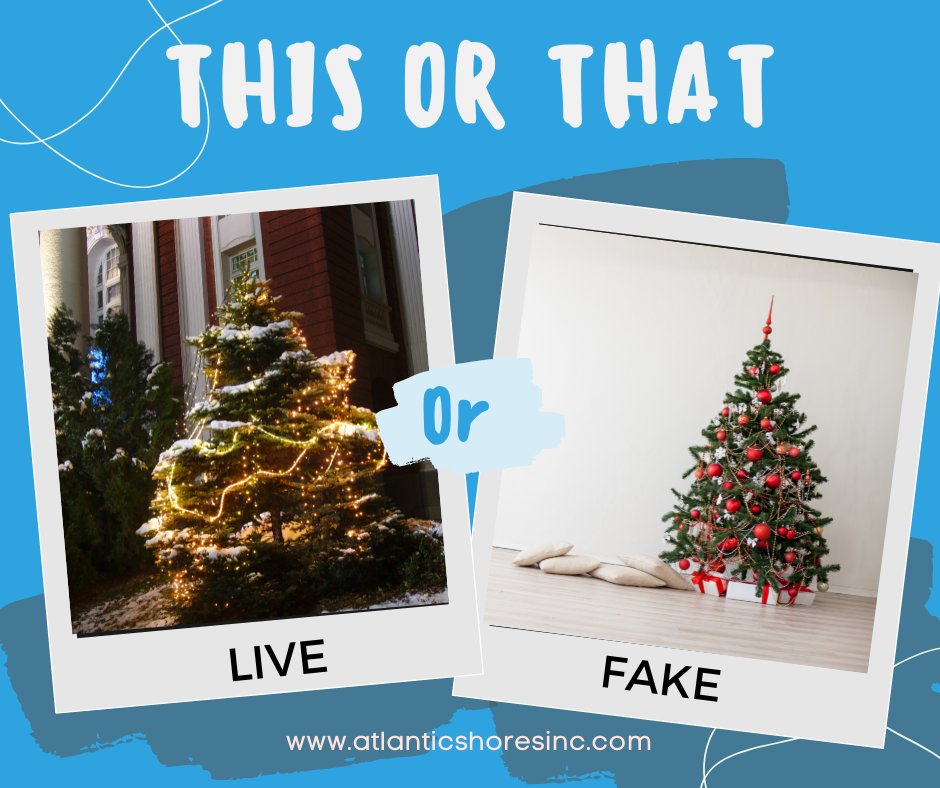atlanticsbdinc's tweet photo. Which do you prefer a live Christmas tree or a fake Christmas tree? https://t.co/kb3Xz5oWhY