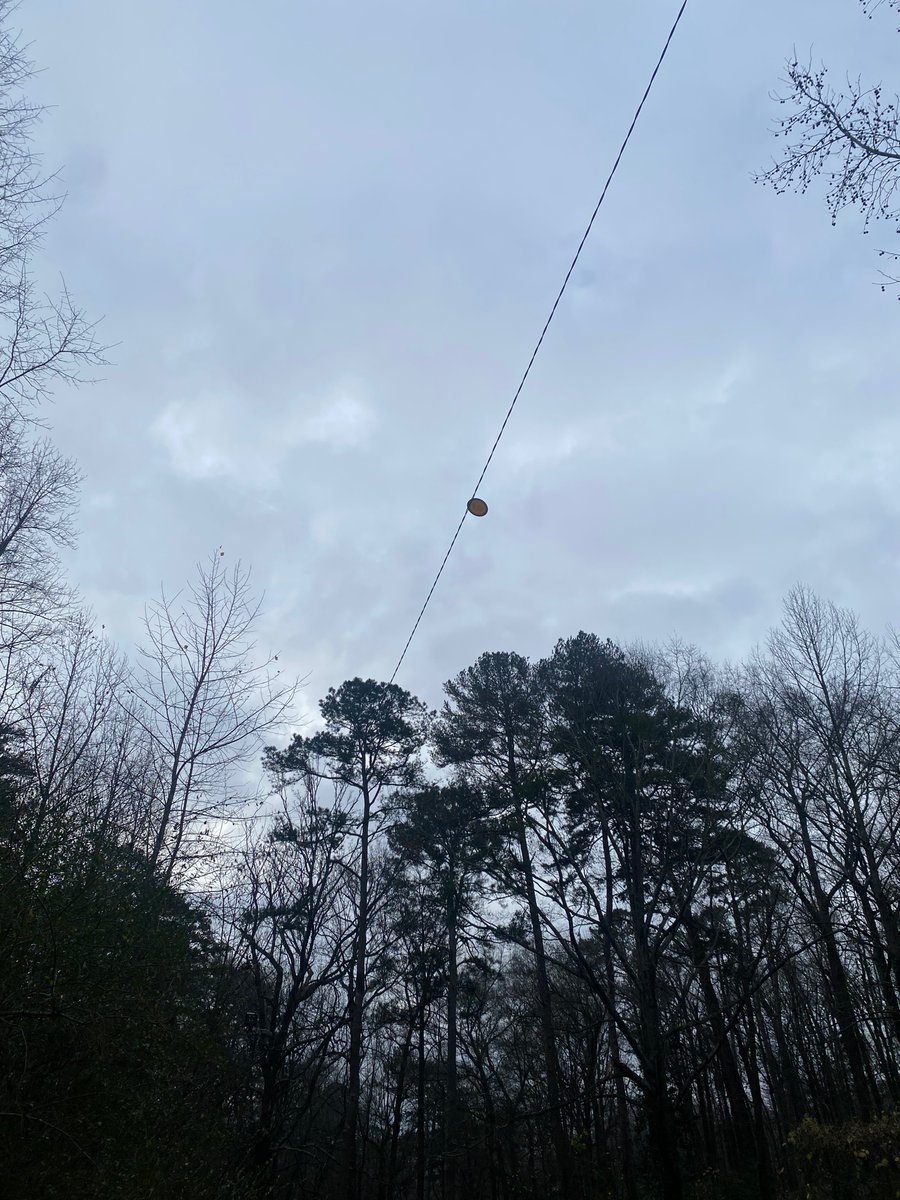 Not sure if this is a good sign or a bad sign of things to come but Dawgs by 90?