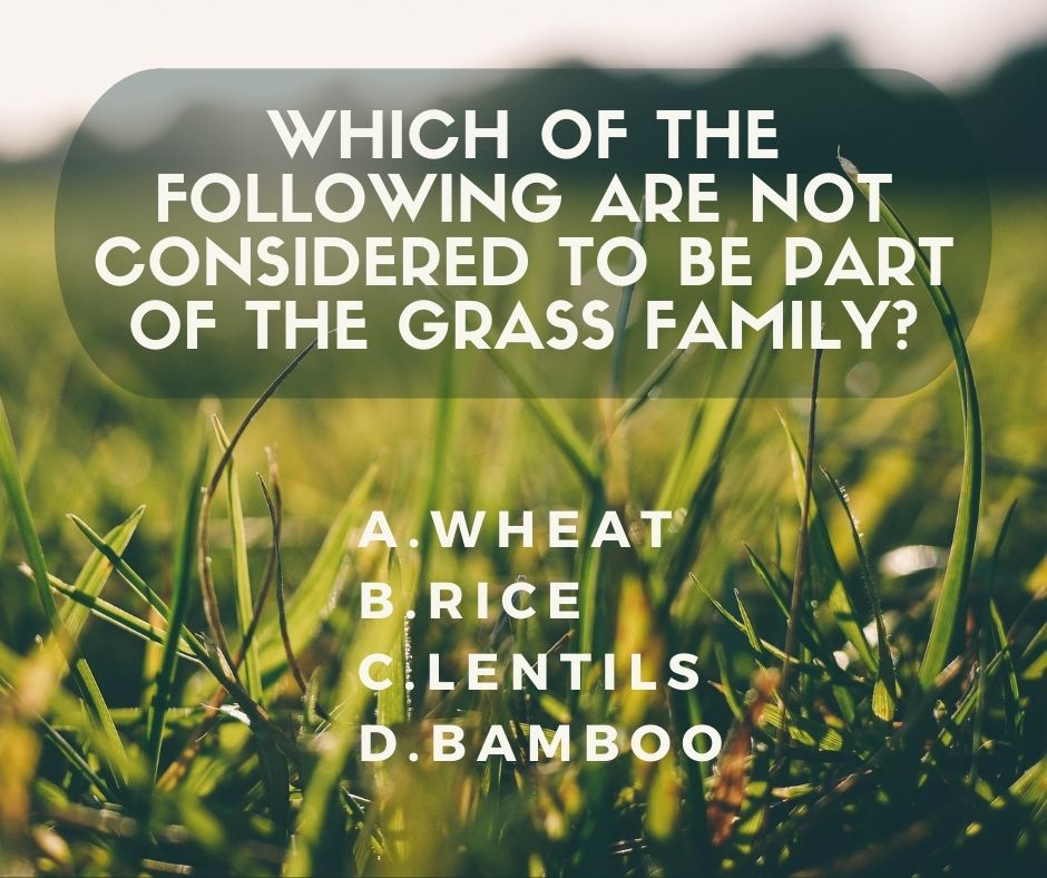 Happy National Trivia Day!